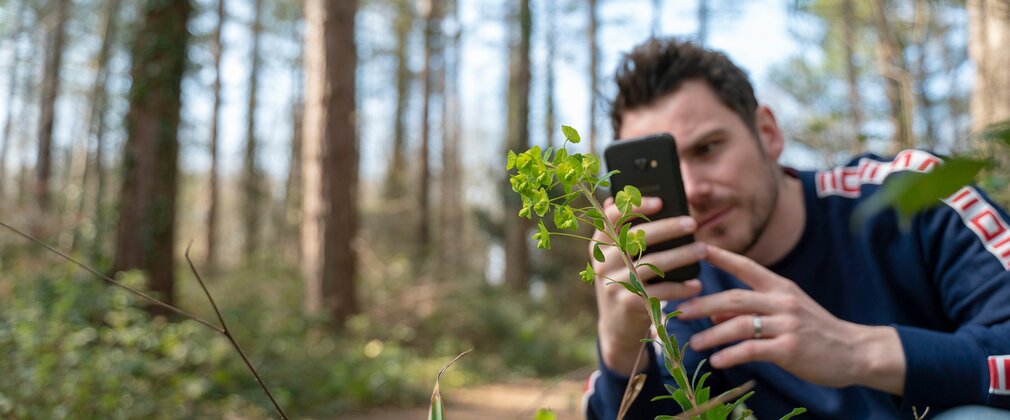 Person taking a photo of a plant with their phone
