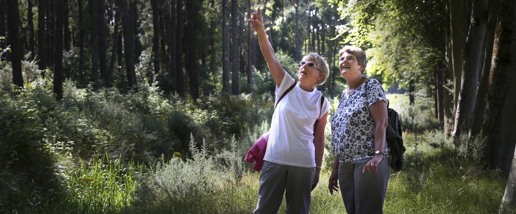  Women in the forest spotting wildlife