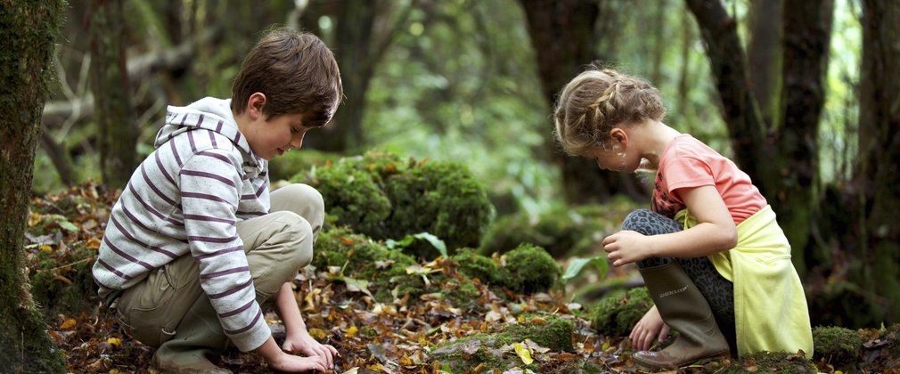 Children playing in forest
