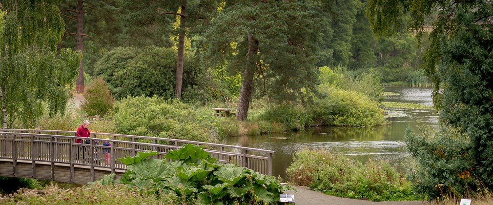 Bedgebury National Pinetum Marshal's Lake early autumn parent child walking