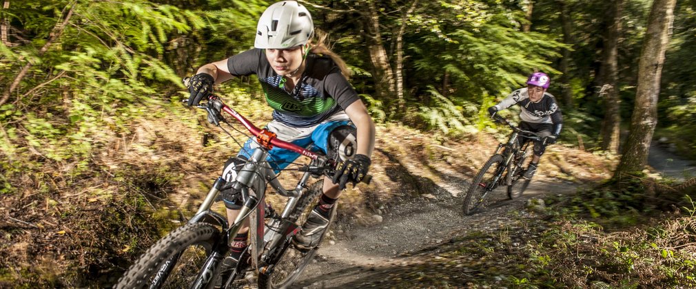 haldon forest mountain biking