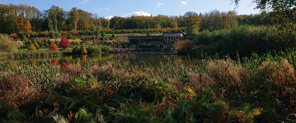 Bedgebury National Pinetum Visitor Centre lake view of cafe