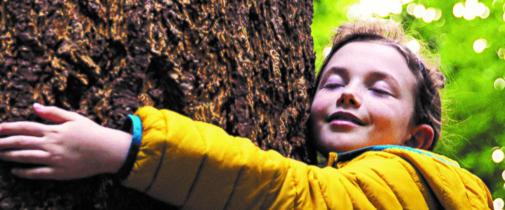 Child hugging tree