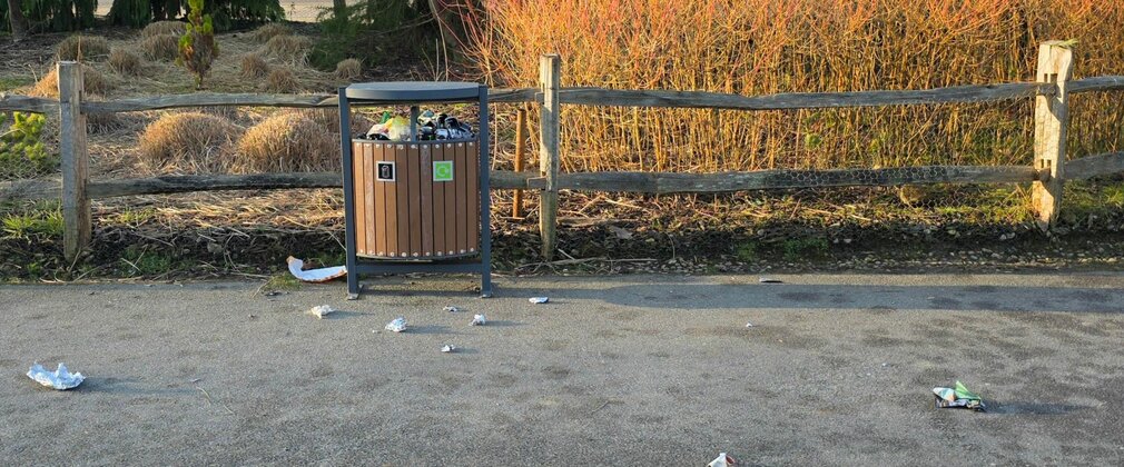 A full litter bin and ground strewn with litter, with trees in the background.