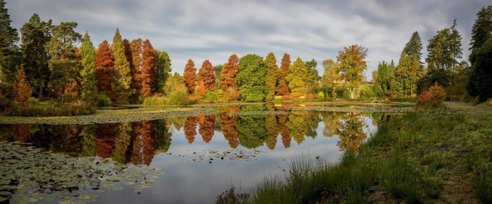Bedgebury lake autumn