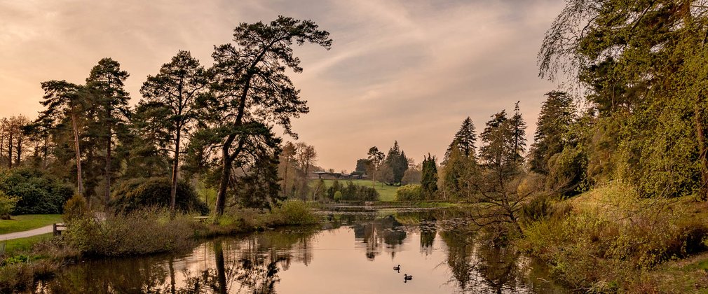 Bedgebury National Pinetum Marshal's Lake view in spring