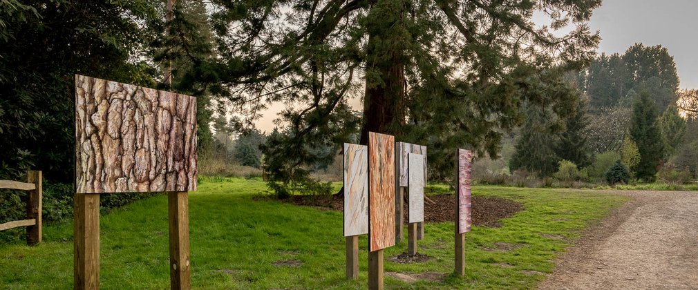 The Art of Trees outdoor exhibition Bedgebury National Pinetum bark artwork