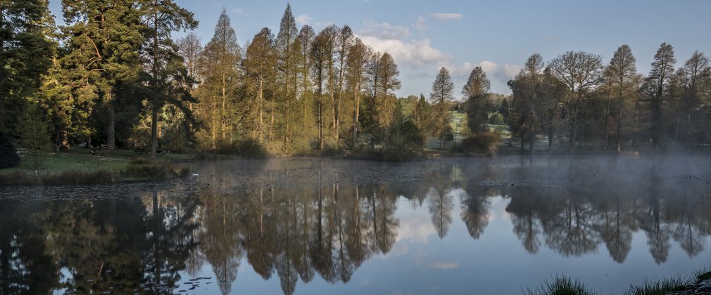 Bedgebury National Pinetum Marshal's Lake view dawn sunrise winter