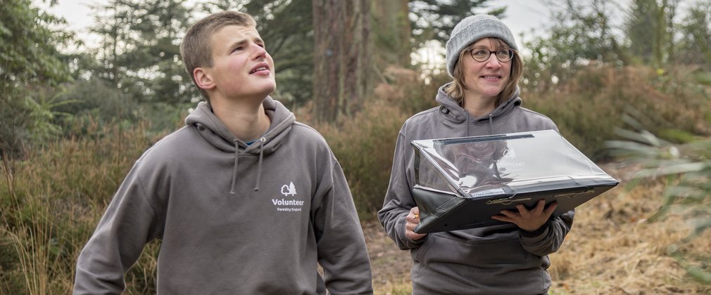 Two people looking up at a tree 