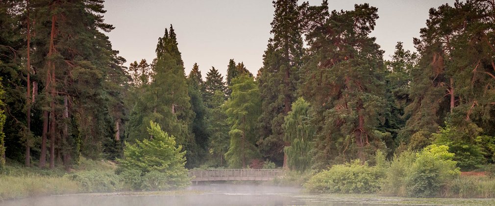 Bedgebury National Pinetum Marshal's Lake view summer bridge