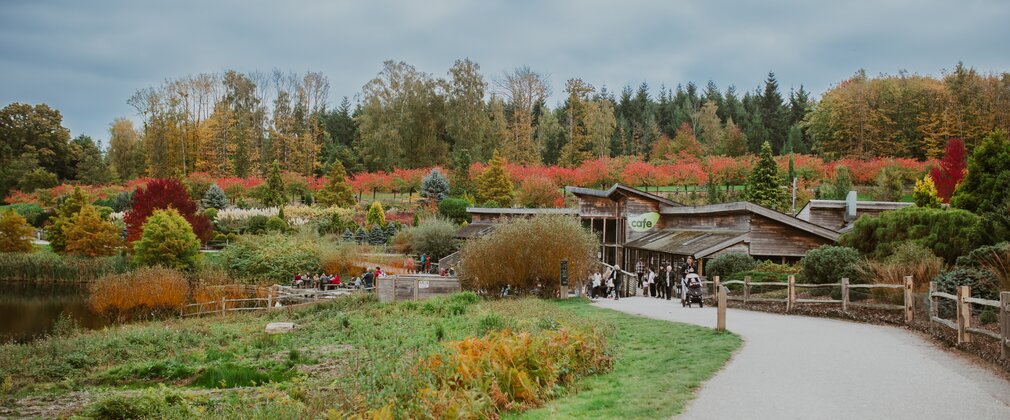 A view to a wooden clad building in autumn surrounded by trees