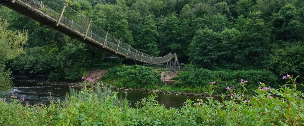 Suspension bridge over a river in a forest