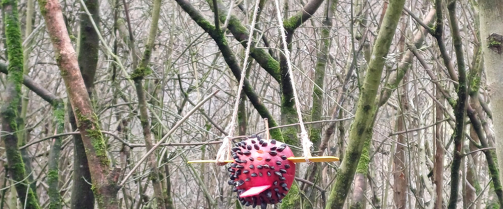 A natural bird feeder made from an apple