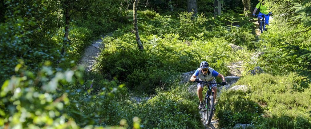 Dalby cycling on the world cup trail