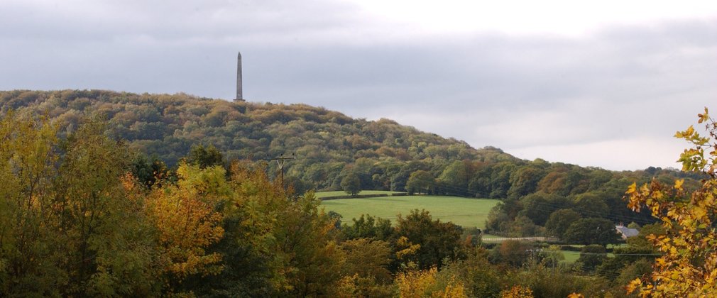 View of Blackdown Hills with Wellington Monument. Somerset.