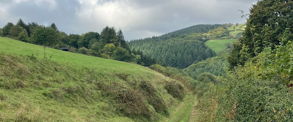 A grassy track with trees and hills in the distance.