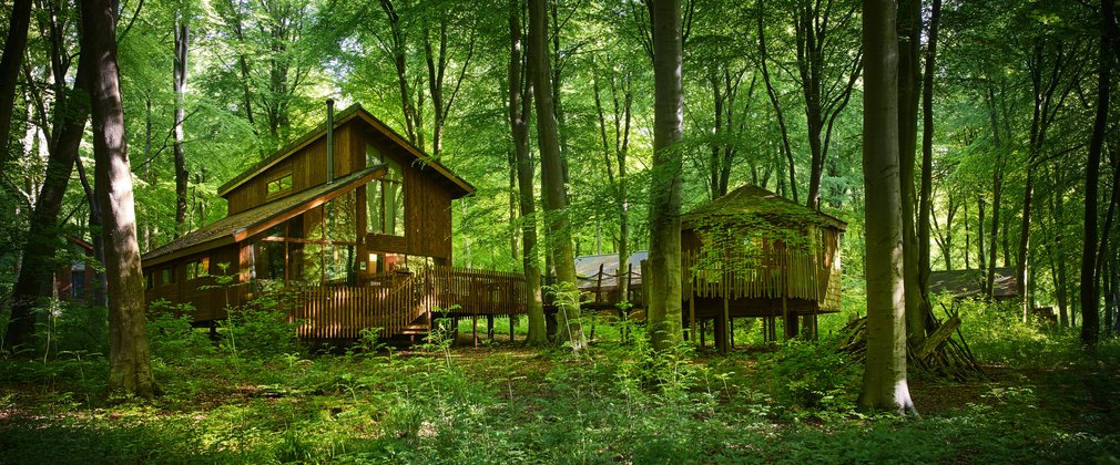 Forest Holidays treehouses at Blackwood Forest