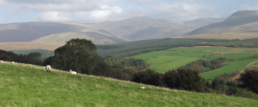 View of Pillar from Blengdale Forest viewpoint 