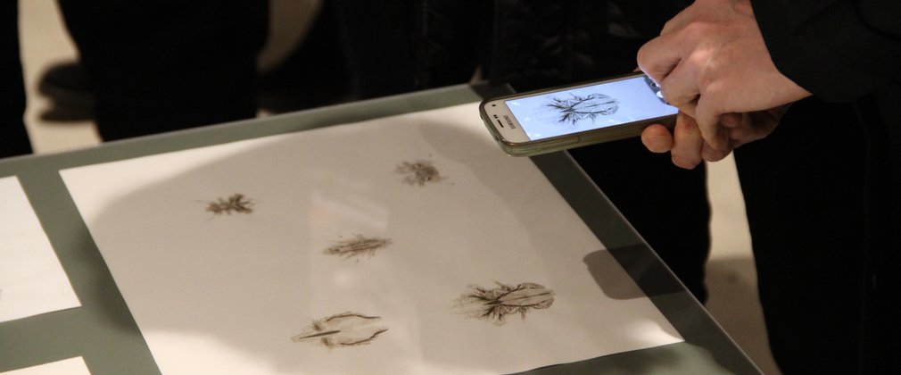 Phone taking picture of Blood from stone exhibition 