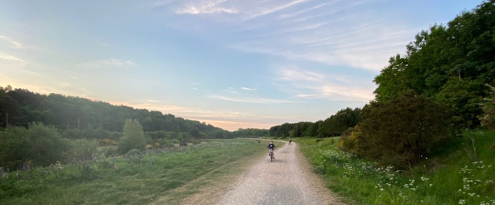 A girl biking in the distance at Boundary wood during sunset