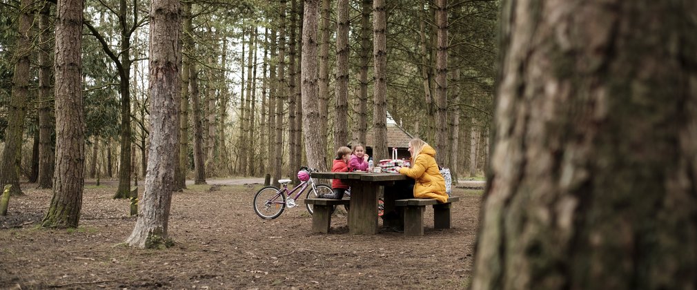 Family group sitting at a picnic table in the middle of a forest