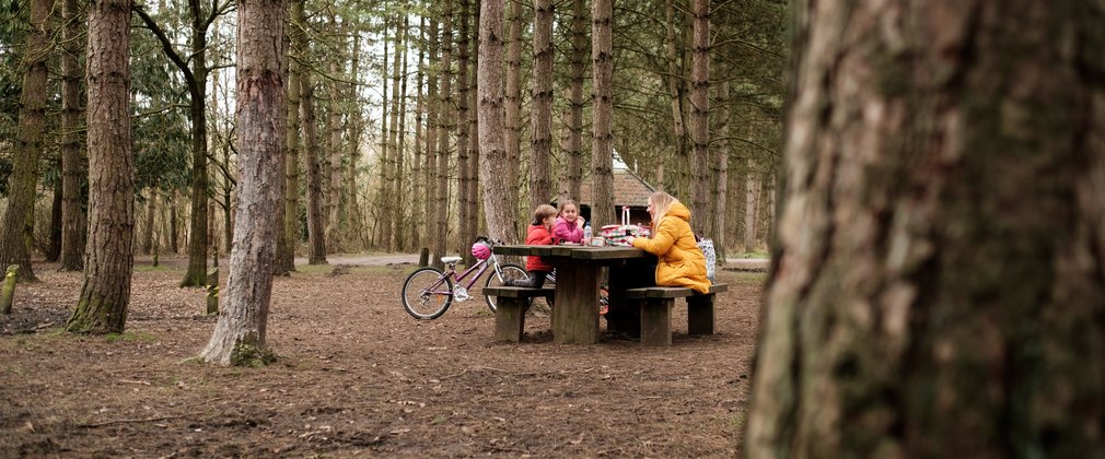 A family having a picnic in the forest