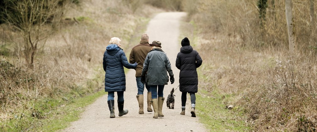 A group of 4 adults and a dog, walking on a forest trail