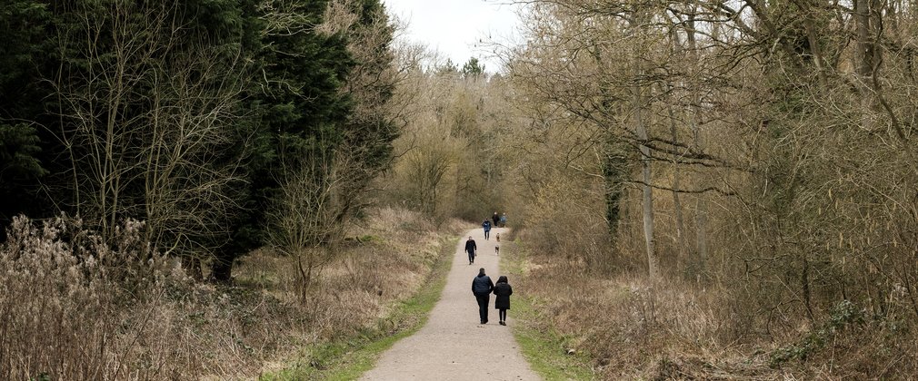 walking on a forest trail