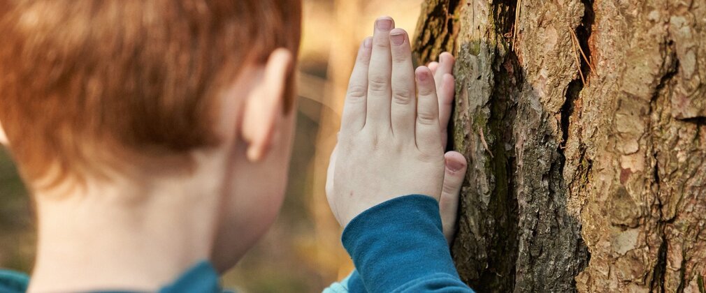 Seen from behind, a boy placing both hands to the bark of a large tree trunk.
