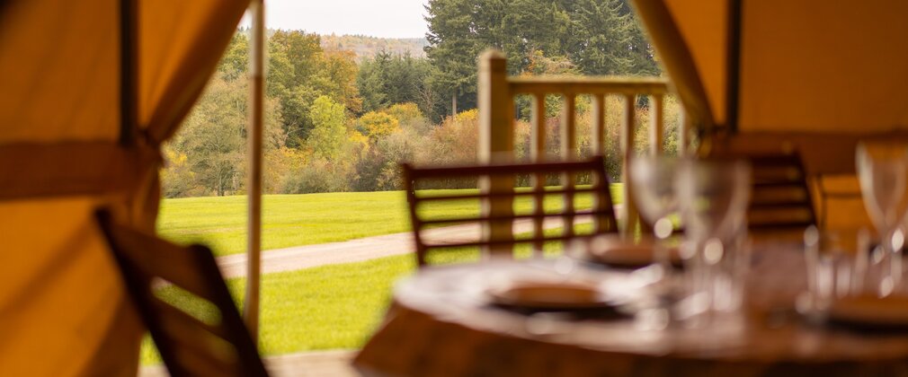 Inside a safari tent at Bracelands campsite with table and chairs looking out to the forest