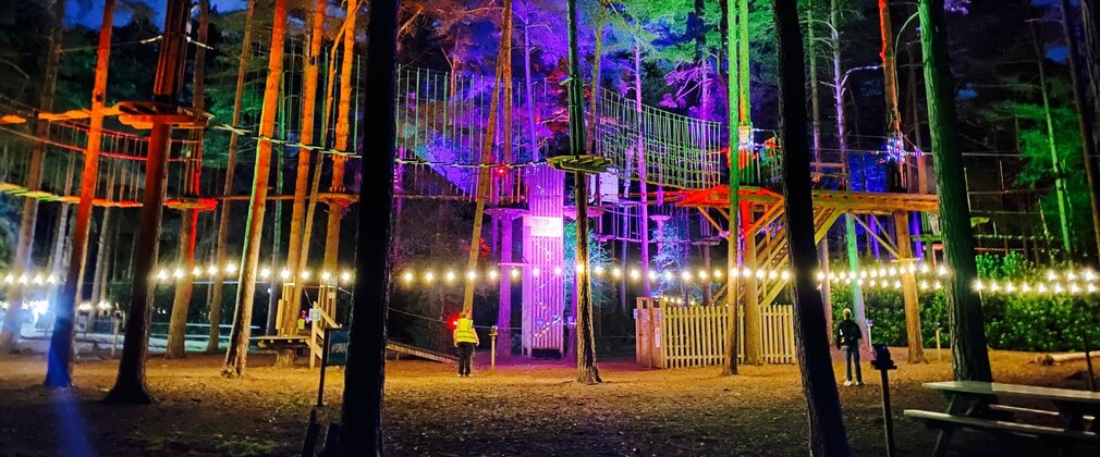 Go Ape activity lit up at night in a forest