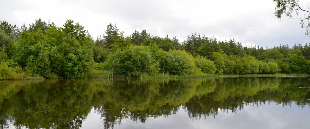 Large body of still open water, with trees along the edge.