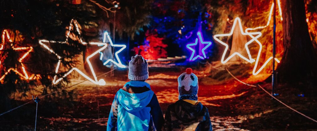 Two children walking through a forest illuminated by star lights