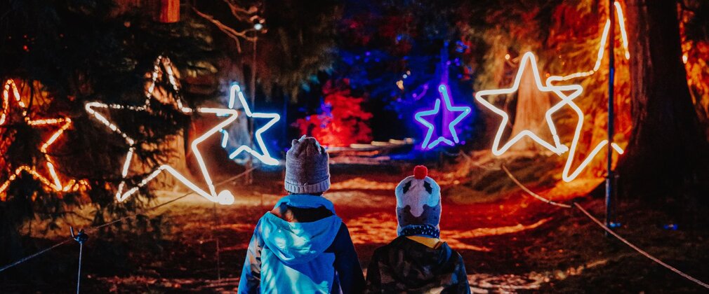 Two children walking through a forest illuminated by star lights
