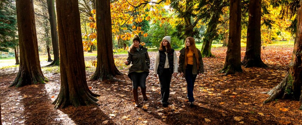 Three women among autumn trees.