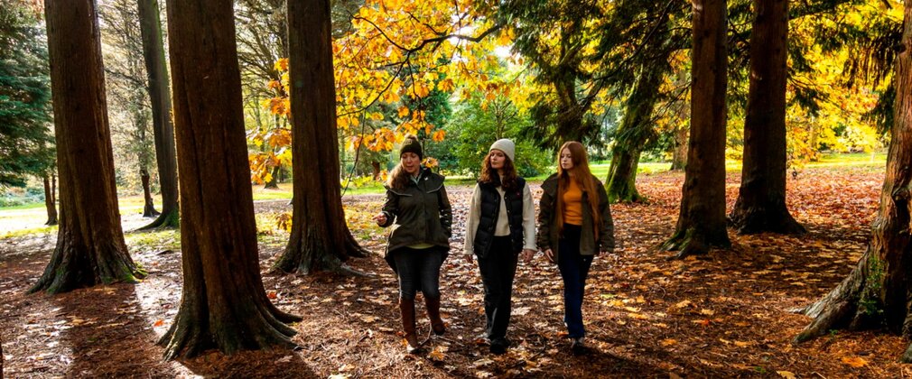 Three women among autumn trees.