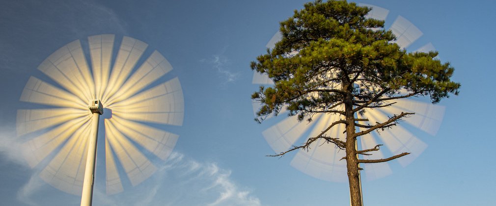 Earth Photo shortlisted work - Wind Energy and Trees