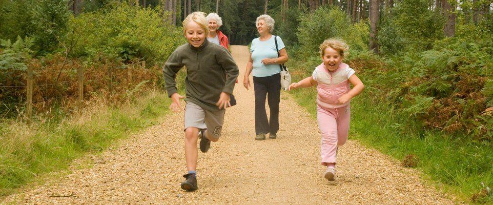 Children running woodland path, Whinlatter 
