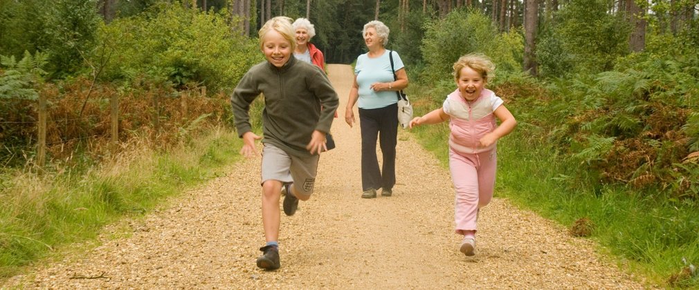 Children running woodland path, Whinlatter