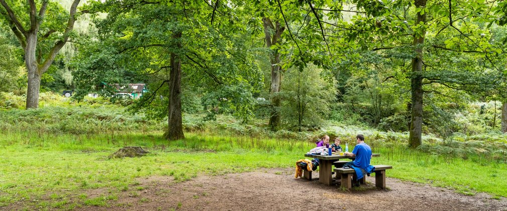 Family enjoying a picnic on a bench in a forest