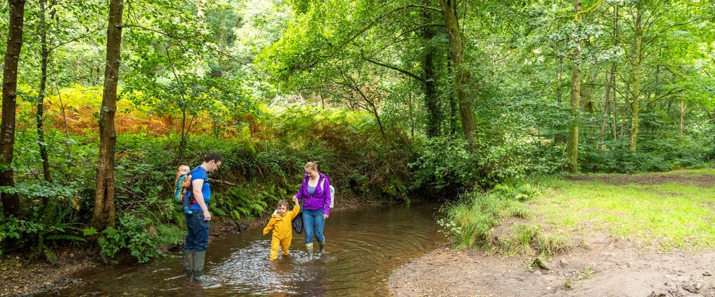 Family paddling in a brook