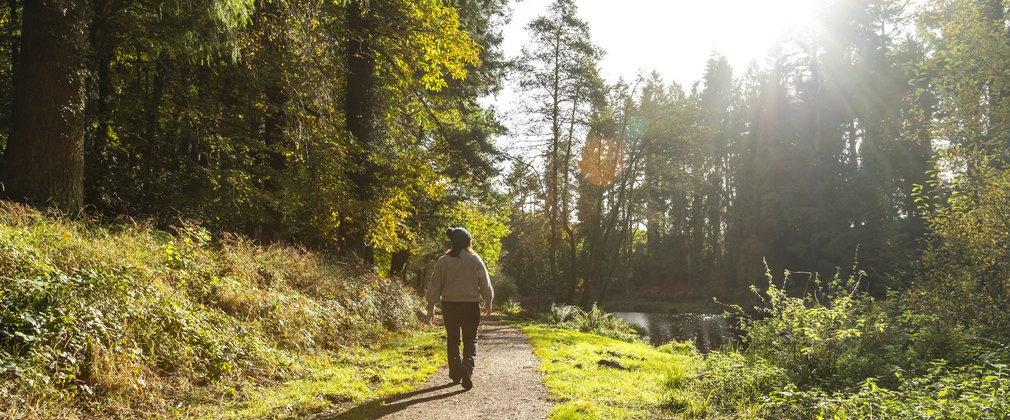 A woman walking along a lakeside path in a forest