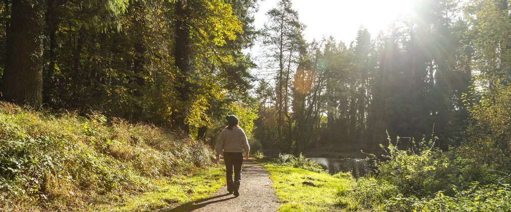 A woman walking along a lakeside path in a forest 