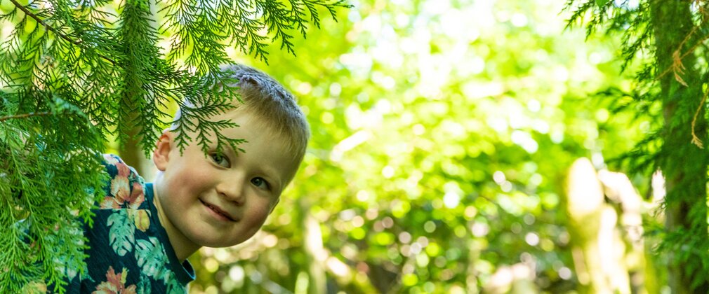 A young boy smiling as he peers around green foliage