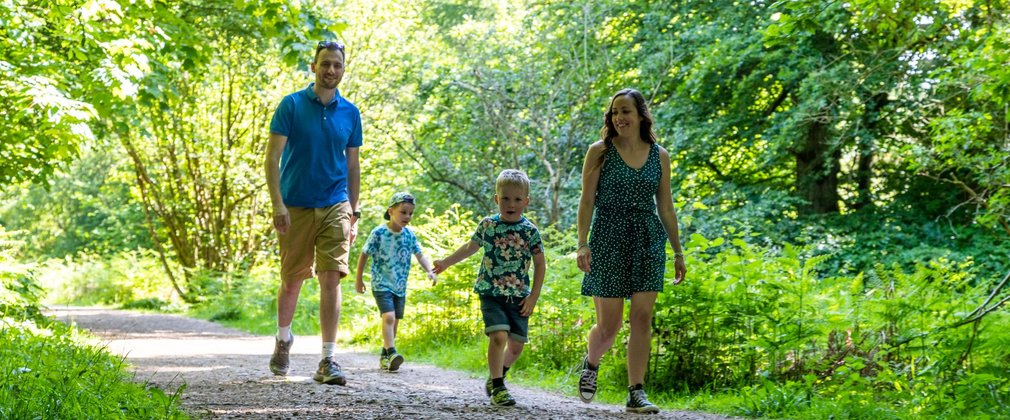 Family with two children walking along a forest trail in the summer