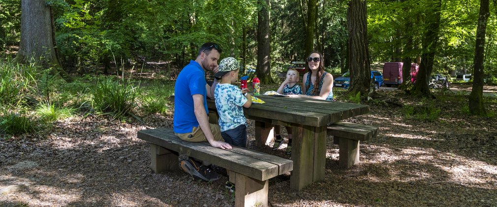 Family enjoying a picnic on a bench in a forest