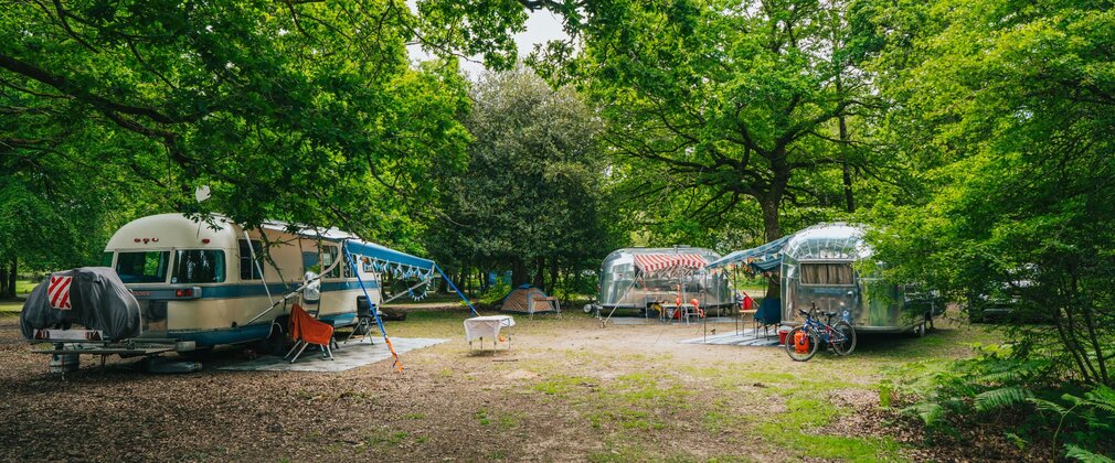 Silver airstreams and campervans beneath trees at New Forest campsite