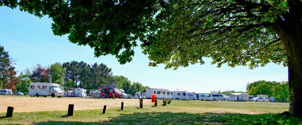 Line of motorhomes parked at a New Forest campsite beneath trees