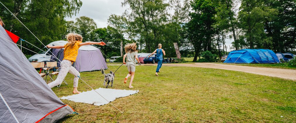 Family running out of a tent with a dog on a lead