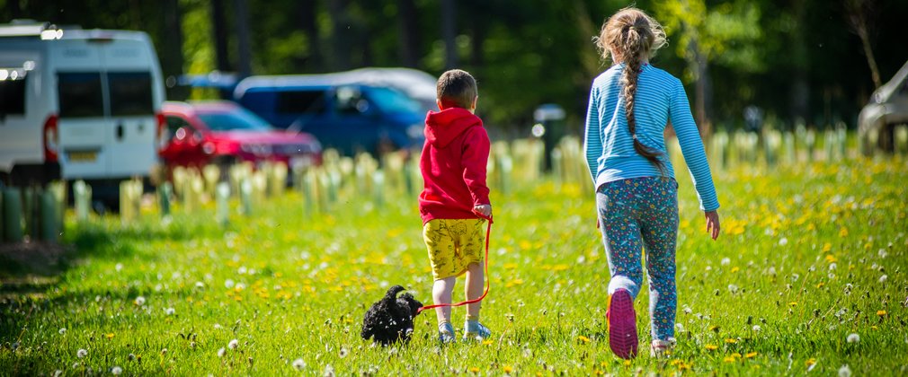 Children and dog walking on a sunny campsite